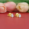 Golden Peardrop Stud Earrings