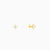 Golden Lian Ear Piercings