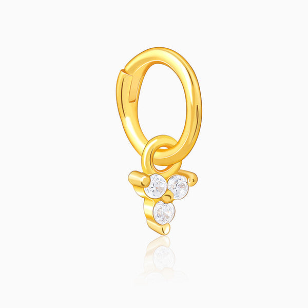Golden Zivah Ear Piercings
